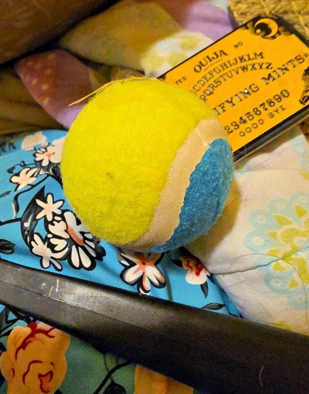 Chuckit! Classic Ball Launcher Multicolor Pet Toys Set